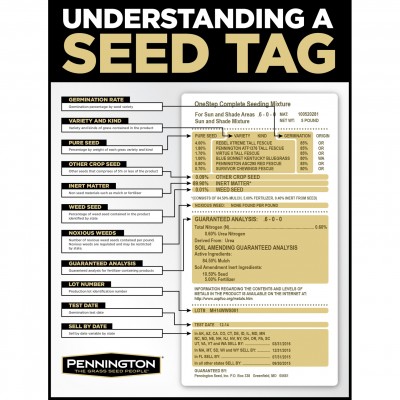 Pennington Smart Seed Kentucky Bluegrass Grass Seed, 7 lb   564077275